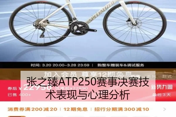张之臻ATP250赛事决赛技术表现与心理分析